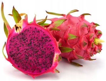 Kaktus Czerwona Pitaja RED Smczy Owoc Hylocereus Costaricensis nasiona - DobreNasiona.pl