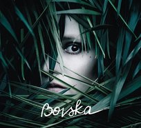 Kaktus Extra Bovska
