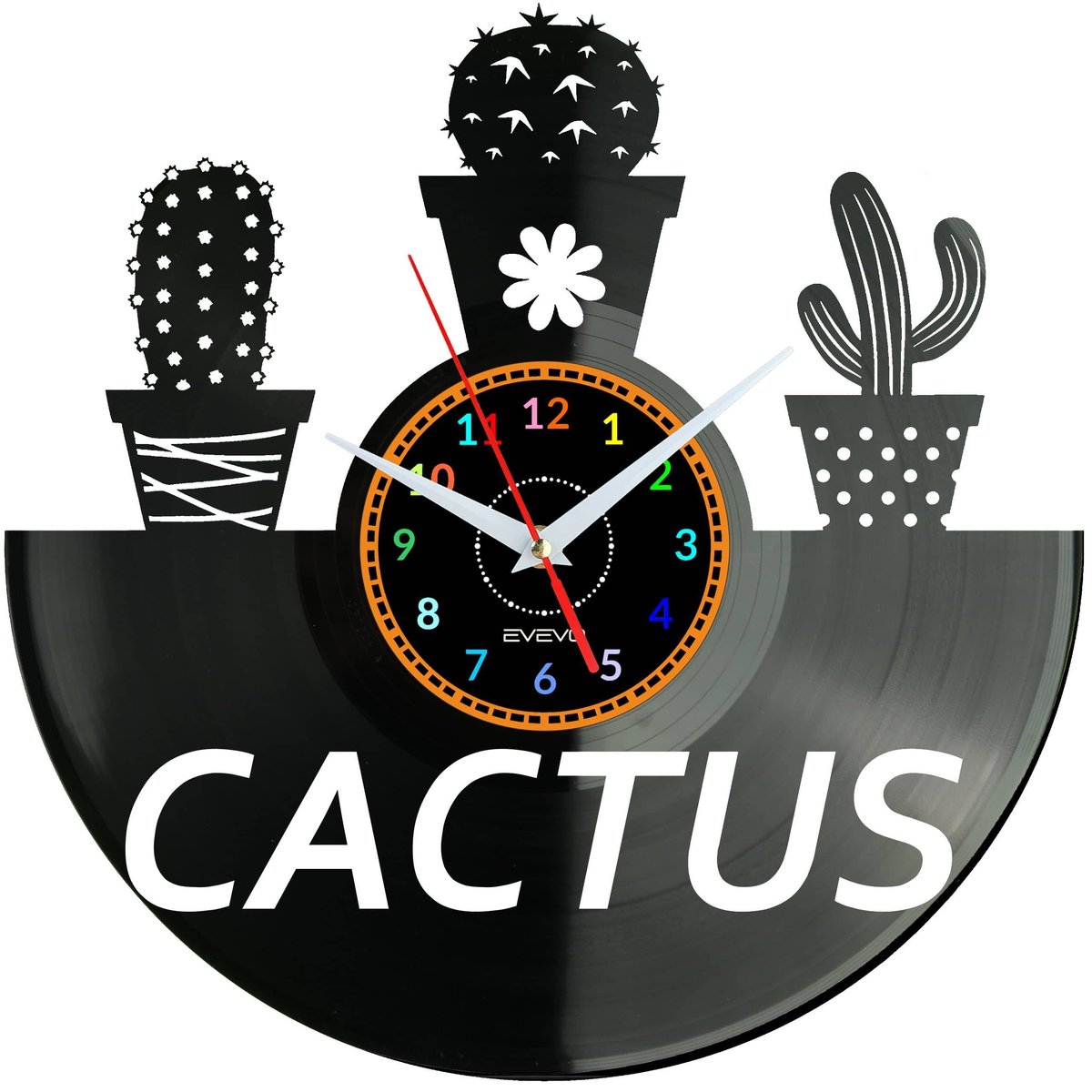 mitternachts kaktus Schwiegermutterstuhl Echinocactus grusonii