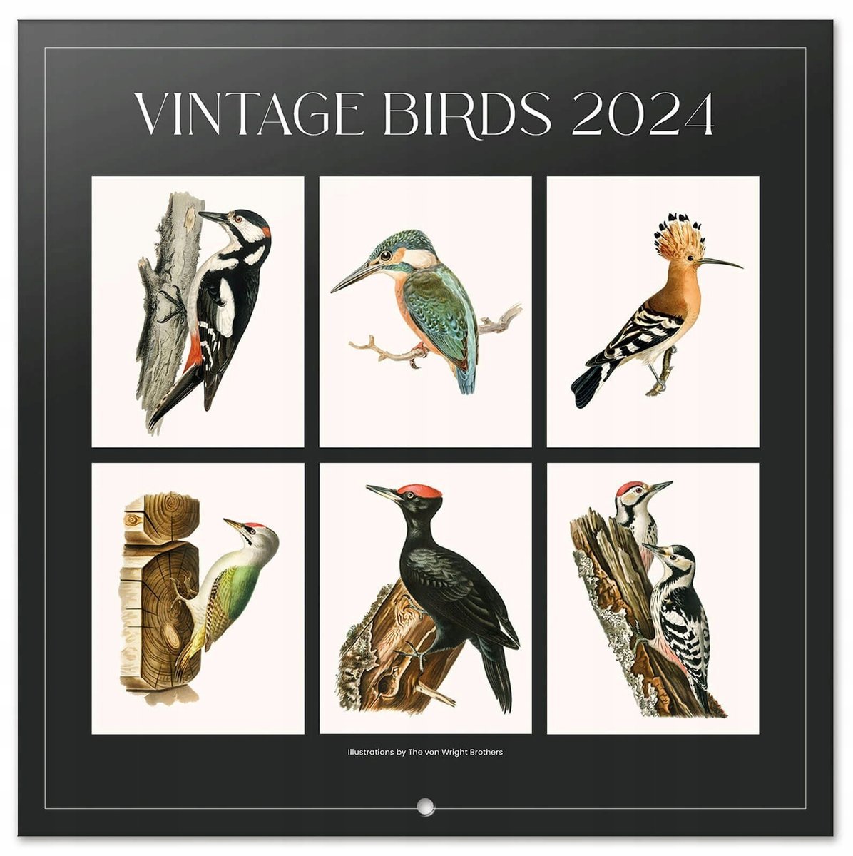 KALENDARZ 2024 ścienny organizer planer PTAKI Nice Stuff Sklep