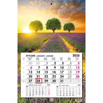 kalendarz 2025 jednodzielny płaski prowansja - EV-Corp kalendarze