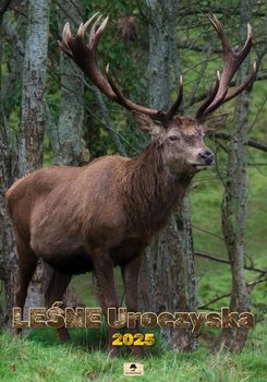 Kalendarz 2025 Leśne Uroczyska ścienny A2 V.5 - Pan Kalendarzyk