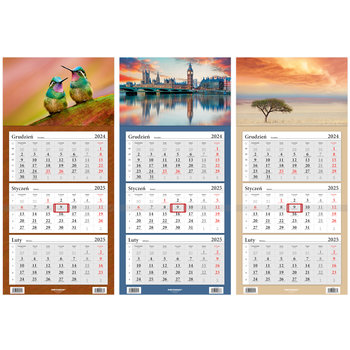Kalendarz 2025 LUX Trójdzielny MIX 3 wzory - Narcissus
