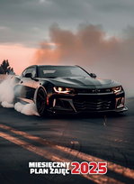 Inne tego producenta