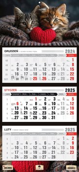 Kalendarz 2025, trójdzielny, kotki - Platon