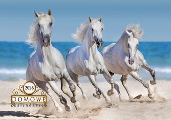 Kalendarz 2026 Domowy Konie - MICHALCZYK i PROKOP kalendarze