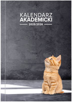 Inne tego producenta