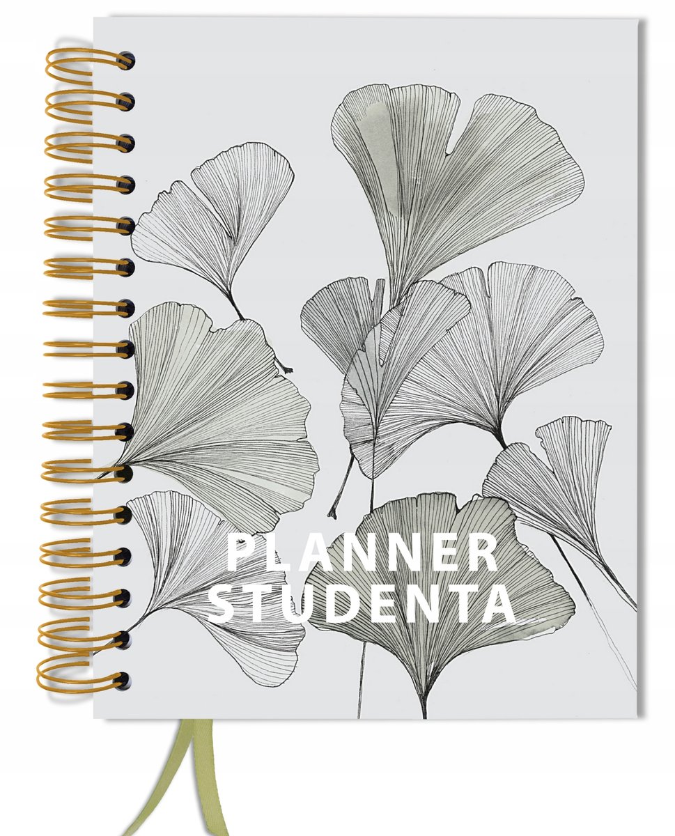 San kalendarz akademicki 3