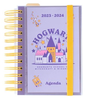 Kalendarz dziennik książkowy 2023/2024 dzienny B6 Grupo Erik Harry Potter
