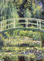 Inne tego producenta