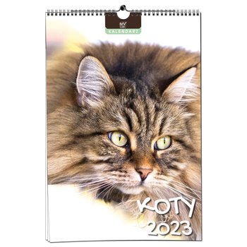 Kalendarz miesięczny, 2023, B3, Koty