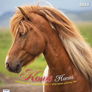 Kalendarz miesięczny, 2023, Konie, KSMS-5