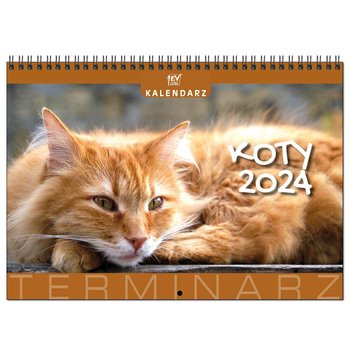 Kalendarz miesięczny, 2024, 29x41 cm, terminarz ścienny, Koty - EV-Corp
