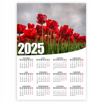KALENDARZ PLAKATOWY 2025 GĄSZCZ CZERWONYCH KWIATÓW 50x70 Na Ścianę Wzory - Inna marka