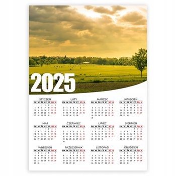 KALENDARZ PLAKATOWY 2025 KRAJOBRAZ ŁĄKA PRZESTRZEŃ 50x70 Na Ścianę Wzory - Inna marka