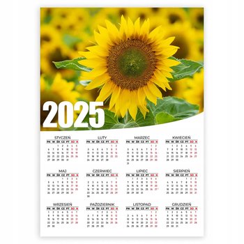 KALENDARZ PLAKATOWY 2025 POLE SŁONECZNIKÓW KWIATY 50x70 Na Ścianę Wzory - Inna marka