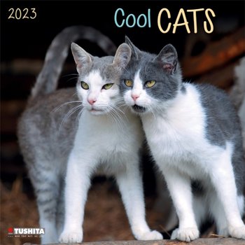 Kalendarz Ścienny 2023  Koty Kotki