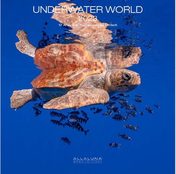 Kalendarz Ścienny 2023  Podwodny Świat Rafa - Michelle Galeria