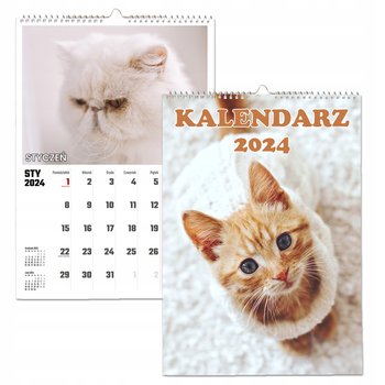 Kalendarz ścienny 2024 miesięczny A3 Propaganda Koty kotki
