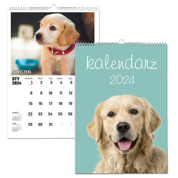 Kalendarz ścienny 2024 miesięczny A4 Propaganda Psy