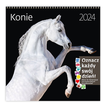Kalendarz ścienny 2024 miesięczny Helma 365 konie - Helma 365