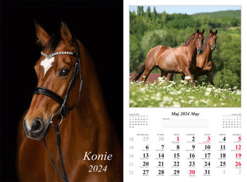 Kalendarz ścienny 2024 miesięczny Radwan konie - Radwan
