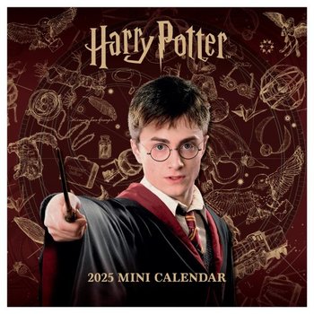Kalendarz ścienny 2025 Harry Potter Kalendarze mini dla dzieci 18x18 cm - Danilo