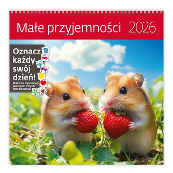 Kalendarz ścienny 2026 miesięczny 30x30, Helma 365, Małe przyjemności z naklejkami - Helma 365