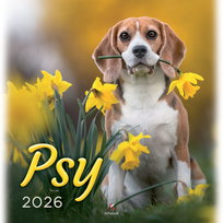 Inne tego producenta