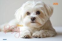 Inne tego producenta