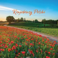 Inne tego producenta