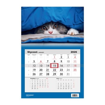 Kalendarz ścienny 2026 miesięczny, Helma 365, Kot - Helma 365