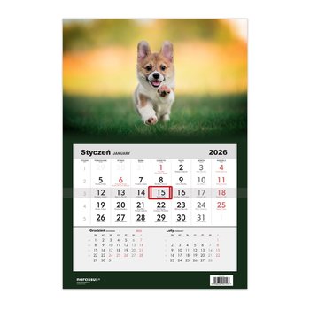 Kalendarz ścienny 2026 miesięczny, Helma 365, Pies corgi - Helma 365