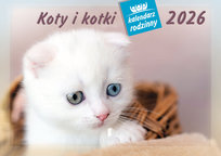 Inne tego producenta