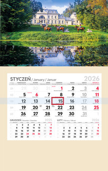 Kalendarz ścienny 2026 miesięczny, Parma Press - Parma Press