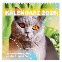 Kalendarz ścienny 2026, Paperdot, miesięczny, Koty