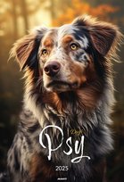 Inne tego producenta