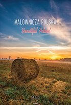 Inne tego producenta