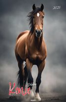 Inne tego producenta