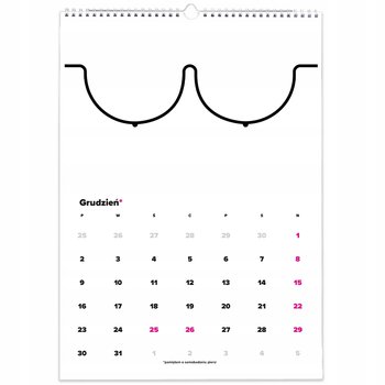 Kalendarz ścienny A3 Rodzaje piersi Biały - Inna marka