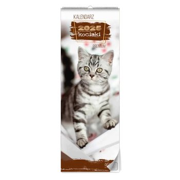 Kalendarz Ścienny Kociaki Premium 2025 - Inna marka