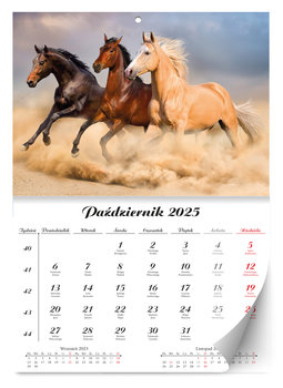 Kalendarz Ścienny Konie Lux 2025 - Inna marka