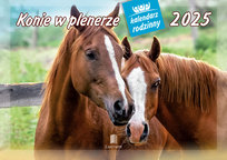 Inne tego producenta