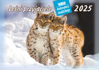 Inne tego producenta