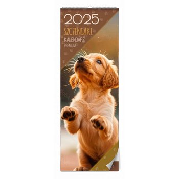 Kalendarz Ścienny Szczeniaki Premium 2025 - Inna marka