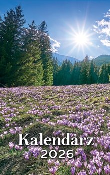 Kalendarz zdzierak tradycyjny 2026 z poradami zrywany zdzierany - Inna marka