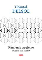 Kamienie węgielne. Na czym nam zależy? Delsol Chantal