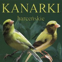 Kanarki harceńskie Odgłosy Natury