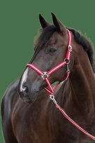 Kantar COVALLIERO Hippo bordowy/beżowy, rozmiar: PONY