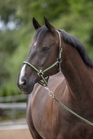 Kantar dla konia COVALLIERO Hippo antracyt/zielony COB